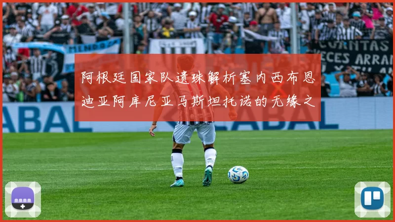 阿根廷国家队遗珠解析塞内西布恩迪亚阿库尼亚马斯坦托诺的无缘之路
